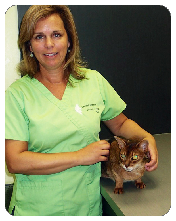 diane-ouellette-technicienne-animal