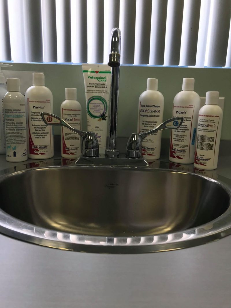 shampoing Clinique Vétérinaire StLinLaurentides