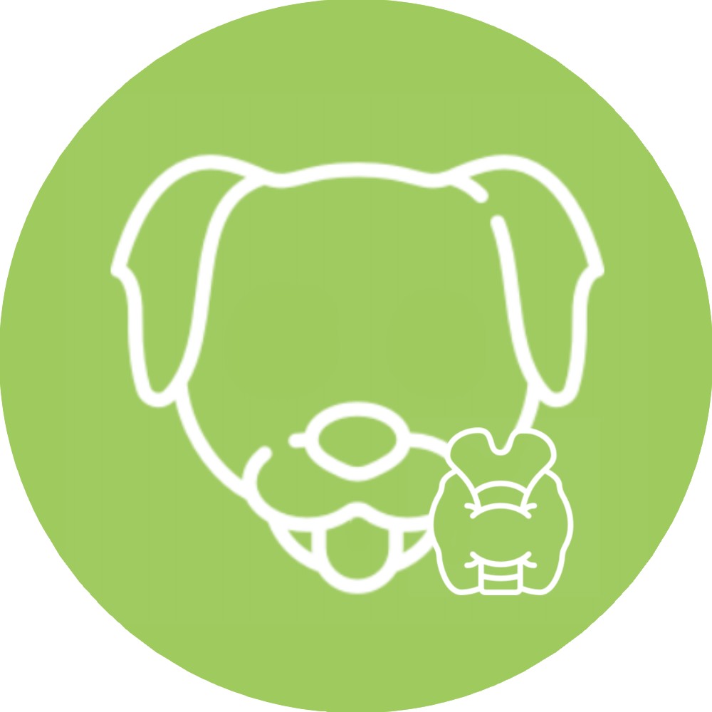 Icon thyroide2