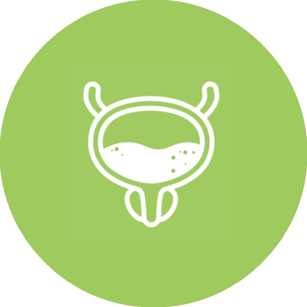 Icon vessie