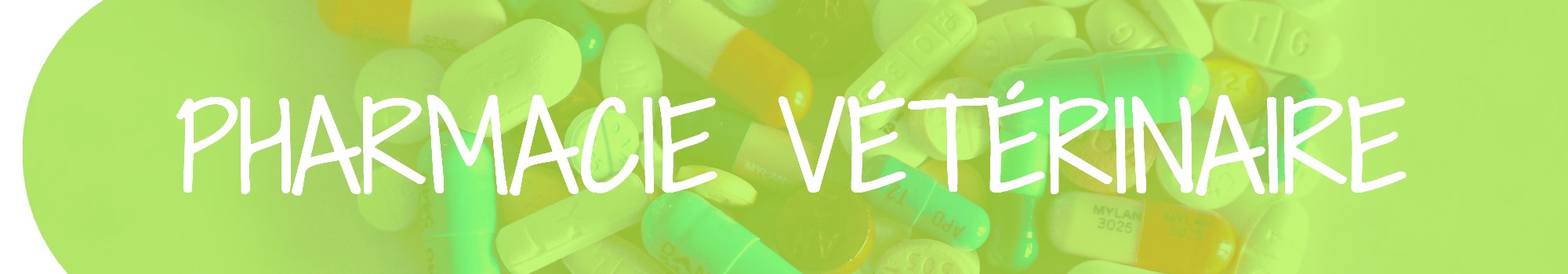 V2 – Titre Pharmacie vétérinaire Navigation2