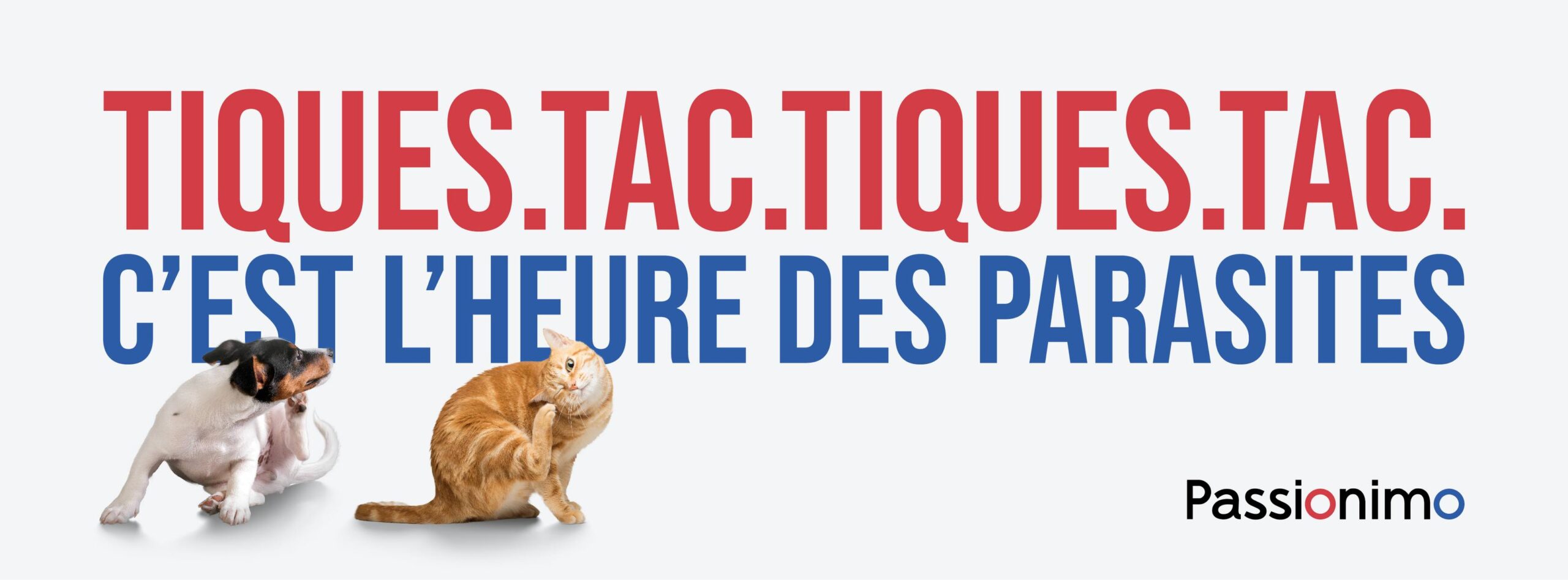 Accueil Clinique Vétérinaire StLinLaurentides